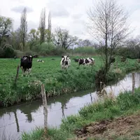L’extension a été réalisée sur la base des résultats de la campagne de surveillance de la qualité des eaux.