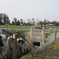 Il faut éviter les virages serrés en entrée et sortie de boviduc.