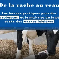 Le Cniel rend accessible à tous des  trucs et astuces.