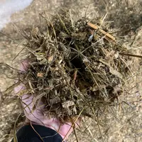 Croyant bien faire, les couteaux de la mélangeuse avaient été retirés, sauf celui du haut. Résultat : les fibres sont trop longues, entrainant un mauv