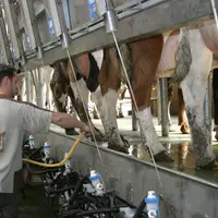 La gestion dynamique de la production laitière à l’échelle européenne proposée par le syndicat tient compte de l’évolution du marché et du coût de pro