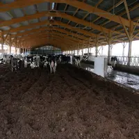 L’orientation sud-est de l’aire de couchage et le choix d’une toiture bipente plutôt qu’en toit d’usine ont été dictés par l’installation de panneaux