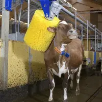 Les brosses rotatives sont particulièrement appréciées par les vaches. Bien qu'onéreuses, elles présentent de nombreux atouts, notamment pour limiter
