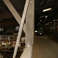 Du fait du dénivelé, le bâtiment des logettes surplombe de 2,50 mètres l’aire paillée.