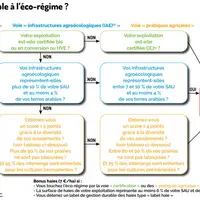 Éleveurs laitiers, préparez-vous dès maintenant à la nouvelle PAC