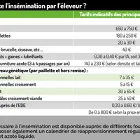 Insémination par l’éleveur : comment bien se préparer