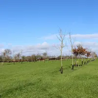 Avec la pratique, Olivier et Joël Dupas estiment aujourd’hui que 25 mètres entre les lignes est un peu juste pour un pulvérisateur de 24 mètres. « Il