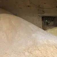 Le soja non-OGM de la mer noire n'arrive plus à cause de la guerre en Ukraine.
