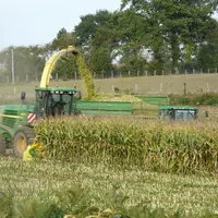 Bien s’organiser et surveiller les paramètres importants sont essentiels pour réussir l’ensilage de maïs.
