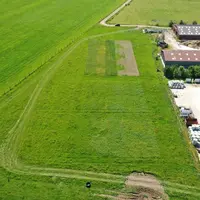 Dans le dispositif en bandes de la ferme de Saint-Hilaire-en-Woëvre, le semis sous couvert de méteil d’automne est l'itinéraire qui a le mieux fonctio