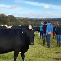 Le groupe herbager en visite dans des élevages avec une bonne longévité.