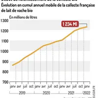 Lait bio : coup de frein sur la croissance de la production