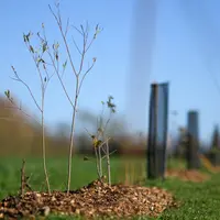 Arla Foods demande à ses adhérents bio des engagements en matière de biodiversité, santé du sol, bien-être animal et énergie renouvelable.