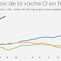 Le prix des vaches laitières de réforme monte, mais pas le nombre d'abattages