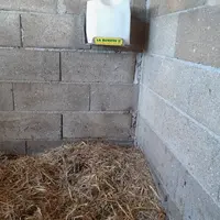 Les pierres à sel ont été placées en hauteur.