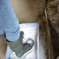 Avant d'entrer dans la nurserie, les visiteurs doivent passer dans le pédiluve sec.
