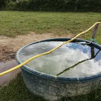 Au pâturage, le positionnement d’un fil de clôture au-dessus de l’abreuvoir peut créer des courants parasites et diminuer la consommation d’eau.  Dans
