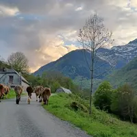 En aménageant une ancienne grange en escape game, Romain Soucaze entend attirer un nouveau public sur sa ferme où il vend du lait cru et du beurre.