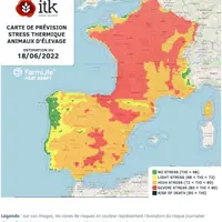 Canicule : Attention au stress thermique sévère pour les bovins