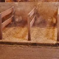 Les logettes des vaches taries sont paillées deux fois par semaine. Mais dès que cela est possible, les taries sont conduites en extérieur sur une par
