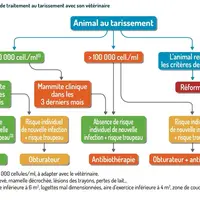 Cinq étapes incontournables pour passer au traitement sélectif