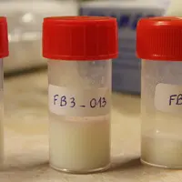 « Grâce à la spectroscopie moyen infrarouge, le flacon de lait n’en finit pas de parler »
