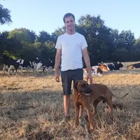Stéphane Luet, éleveur dans le Maine-et-Loire. " Depuis début juillet, les laitières sont passées à 100 % en ration hivernale. Les génisses et les vac