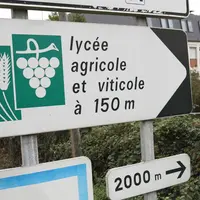 L’aide complémentaire JA sera désormais forfaitaire. Son montant prévisionnel est estimé à 4 500 euros par exploitation.