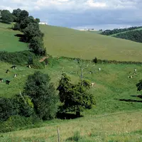 La valorisation du lait de montagne dans la zone du Massif central est encore à la peine face aux coûts de production intrinsèquement plus élevés qu'e