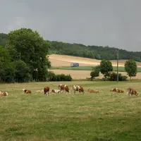 En Bourgogne Franche-Comté, le prix de revient du lait 2022 est estimé à 454 €/1 000 l en plaine, alors que le prix de vente du lait est estimé à 426