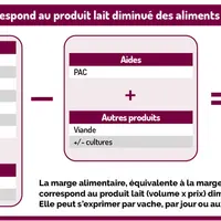 Piloter son atelier lait grâce à la marge alimentaire