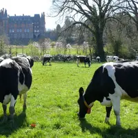 Le développement du pâturage a contribué à réduire les apports de correcteur azoté.