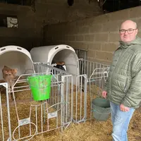 Les veaux reçoivent le kéfir pendant leur première semaine, à raison de 200 ml par buvée, en mélange avec du lait entier matin et soir.