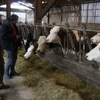 Les OP s’impliquent de plus en plus dans la construction de la RSE (charte des bonnes pratiques d’élevage, engagement carbone…) des industriels, qui v