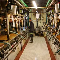 La salle de traite, une 2x6 en épi, datant de 1972, a été rénovée avec l'achat de matériel de traite d’occasion.