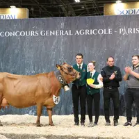 Lorie, championne adulte