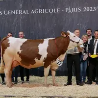 Pervenche -Earl Talon dans le Territoire de Belfort - Championne jeune