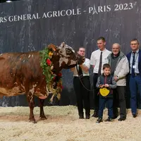 Hamada - Earl Allix dans la Manche - Championne adulte et Grande Championne