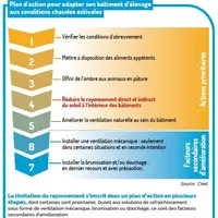 Confort thermique : « Il ne faut pas négliger le rayonnement dans les bâtiments d'élevage »