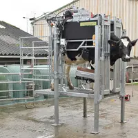 Les cages équipées d'un système de levage hydraulique sont réservées aux très grands troupeaux et aux éleveurs sensibles du dos.