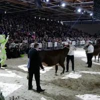Point d'orgue de ces quatre jours de festivité avec l'élection des grandes championnes,