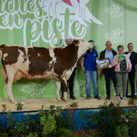 Javeline (Brink) - Gaec Elevage Poignard dans le Doubs - Championne sénior