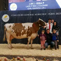 Izisa P - Earl Rannou dans le Finistère - Meilleure laitière