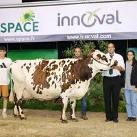 Hamiltone (Alma) - Gaec VB Huberson dans la Sarthe - Meilleure laitière