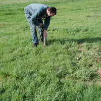 campagnol terrestre, rat taupier, piège, agriculteur, prairie