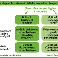 Mammites peu sévères : faut-il mieux cibler le recours aux antibiotiques ?