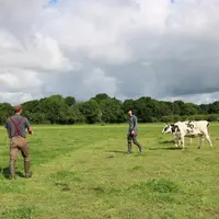éleveur et apprenti, travail, prairie