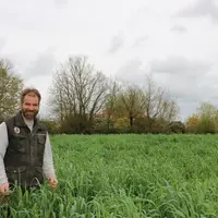 éleveur dans du méteil, Vincent Bossard, du Gaec de la Huberdière