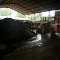 fumière