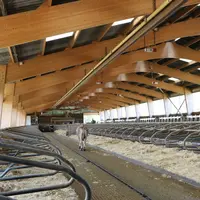stabulation aérée et lumineuse pour vaches laitières avec logettes paillées